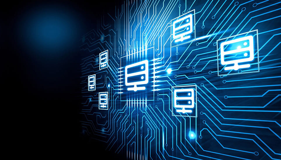 From Data to Insights
